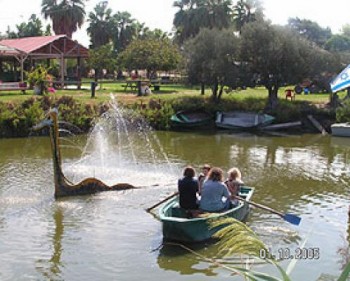 357857-crocodilefarm.jpg פעילויות לילדים באמת התנינים