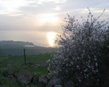 358072-golan.jpg אירועי ט"ו בשבט ברמת הגולן