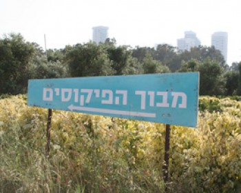 סיורי ט"ו בשבט בתל אביב