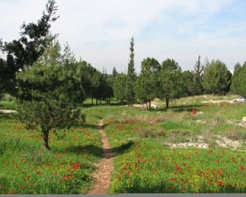 סיורים מודרכים בפארק יער שוהם