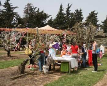 358329-cherie-festival2011.jpg פסטיבל פריחת הדובדבן בעין זיוון