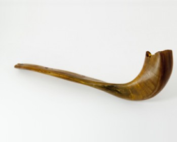 359067-shofar.jpg שופרא דשופרא - תערוכת השופרות במוזיאון ארצות המקרא ירושלים