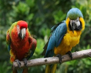 359106-IMG_5475.JPG ראש השנה בחמת גדר