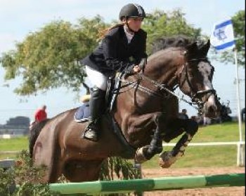 359484-הדר-זיגדון-צילום-יחצ.JPG תחרות קפיצות ראווה על סוסים