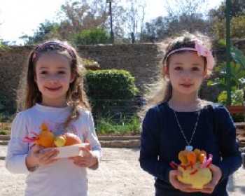 הפנינג בין מנדרינה לקלמנטינה