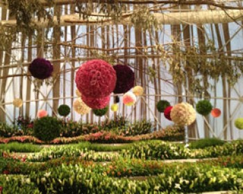 תערוכת הפרחים בחיפה 2012