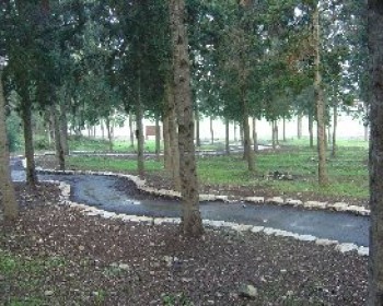 359895-יער-ציפורי-שביל-מיכאל-חורי.JPG טיולי משפחות עם קק"ל