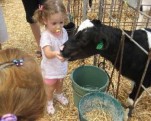 359981-kids-and-cow.JPG