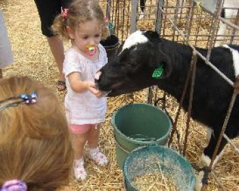359981-kids-and-cow.JPG חגיגות שמחת החלב 2012