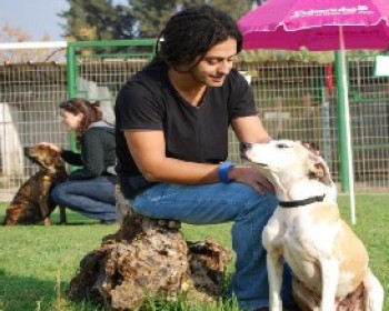 360330-tame-Dog-Adoption-Day.JPG יום אימוץ כלבים מאולפים