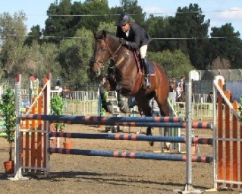 360361-Israel-Showjumping-Championships.JPG אליפות ישראל בקפיצות ראווה על סוסים 2012