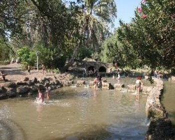 360764-Jordan-Park.JPG לילה בפארק הירדן