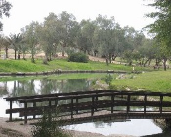 360921-Besor-Park.JPG פסטיבל מים