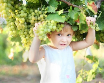 361239-grapes-kids.jpg פעילויות ראש השנה באזור חוף הכרמל - חגיגות הקטיף ובציר היין