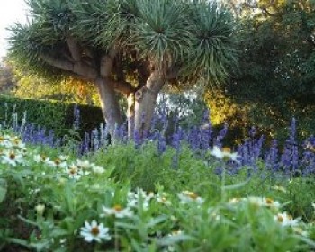סיורים מודרכים ברמת הנדיב