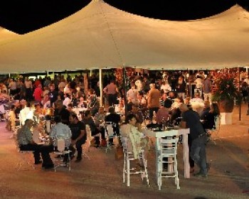 361408-Wine-Festival.JPG פסטיבל היין 2012