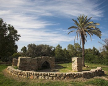 361565-ashkelon-park.jpg חינם לתושבי הדרום - טיול לשבת בגן הלאומי באשקלון