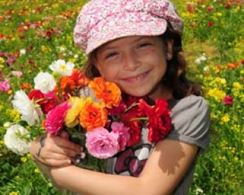 361936-pesah-ba-hava.JPG פעילויות פסח בחווה בתל אביב