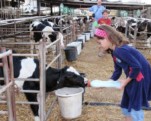 362278-COWS-AND-KIDS.jpg