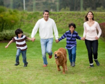 363428-DOG-RUN.jpg מרוץ הכלבים בתל אביב - Doggie run