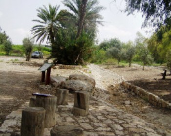 363527-RABIN-PARK.jpg טיול עם ילדים עם הקרן הקיימת לישראל