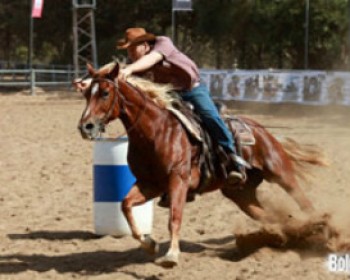 363620-362204-rodeo.jpg מופע רכיבה בחנוכה - חוות ורד הגליל