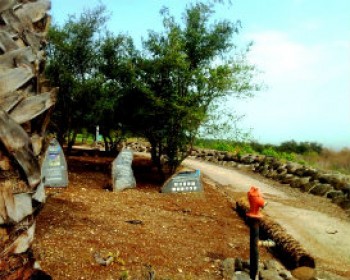 מרתון טבריה הבינלאומי