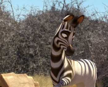 364532-Kba_Khumba-ZEBRA.jpg קומבה - סרט חדש לילדים