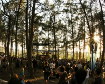 364688-FOREST-1.jpg פסטיבל יערות מנשה 2014