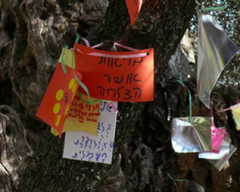 365676-best_wishes_tree.jpg עץ המשאלות - פעילויות ראש השנה בקיפצובה