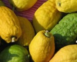365864-ETROG-1.jpg