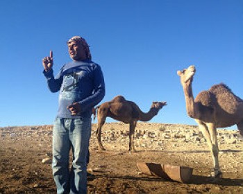 366337-camels_trip_israel.jpg דרך האוהלים - סופ"ש של טיולים ופעילויות לילדים ומשפחות בהר הנגב