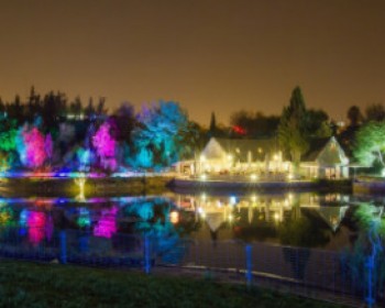 3923-SHINEY-JERUSALEM.jpg פעילות לחנוכה בירושלים - באור אחר בגן הבוטני בירושלים