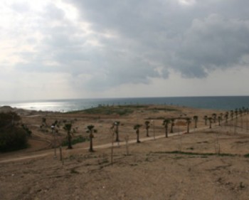 412-177896-jaffa-park.jpg חנוכת פארק מדרון יפו