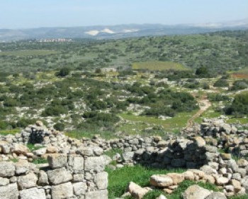 4239-ADULAM-PARK.jpg טיולים ופעילויות לילדים ביערות קק"ל בסוף השבוע