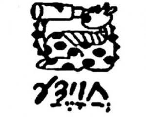 46865-havayeda.jpg שפת הסימנים של נעה