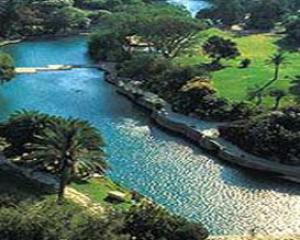 47802-chhne.jpg פסטיבל להטוטנים