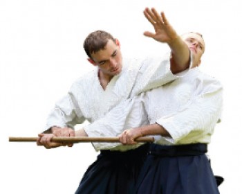 4994-JAPAN.jpg פסטיבל תרבות יפן בירושלים