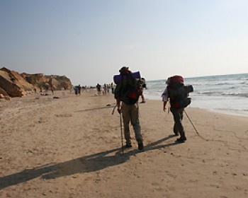 יום ההליכה הבינלאומי 2014