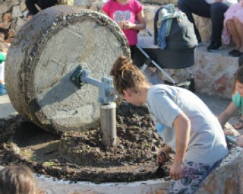 5078-MASIK-KIDS.jpg ראשון למסיק - חגיגת שמן זית בחוות מקורה ובוסתן תם