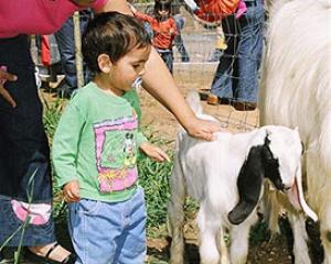 51265-naturefestival.jpg אירועי פסח לילדים ברמת השרון