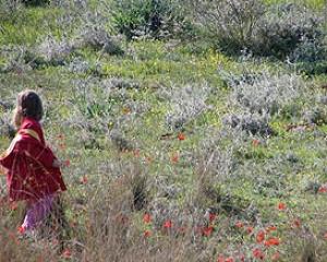 סיור בגבעת תיתורה במודיעין