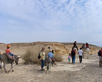 54030-donkey-ride-2.jpg פסטיבל התמר