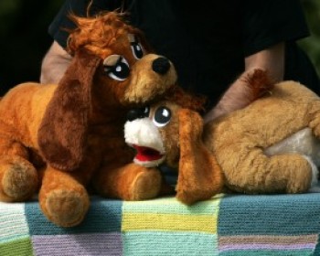 544-humis-secret.jpg הסוד של חומי