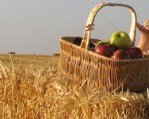 57490-madatech.jpg אירועי שבועות במוזיאון המדע בחיפה