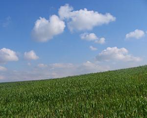 59403-greensky.jpg יום הגלובוס הירוק - יום איכות הסביבה