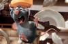 רטטוי RATATOUILLE