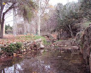 61040-einhemed-park.jpg הופעות שישי בעין חמד