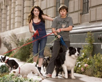 בית מלון לכלבים