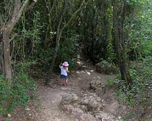 65240-park-nesher-2.jpg חמשוש בגנים הלאומיים